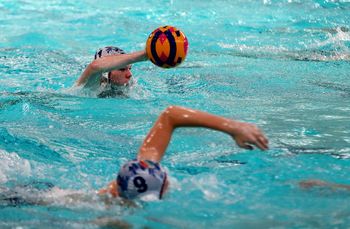 Szczecin: Turniej juniorów: Arkonia Waterpolo w akcji [ZDJĘCIA]