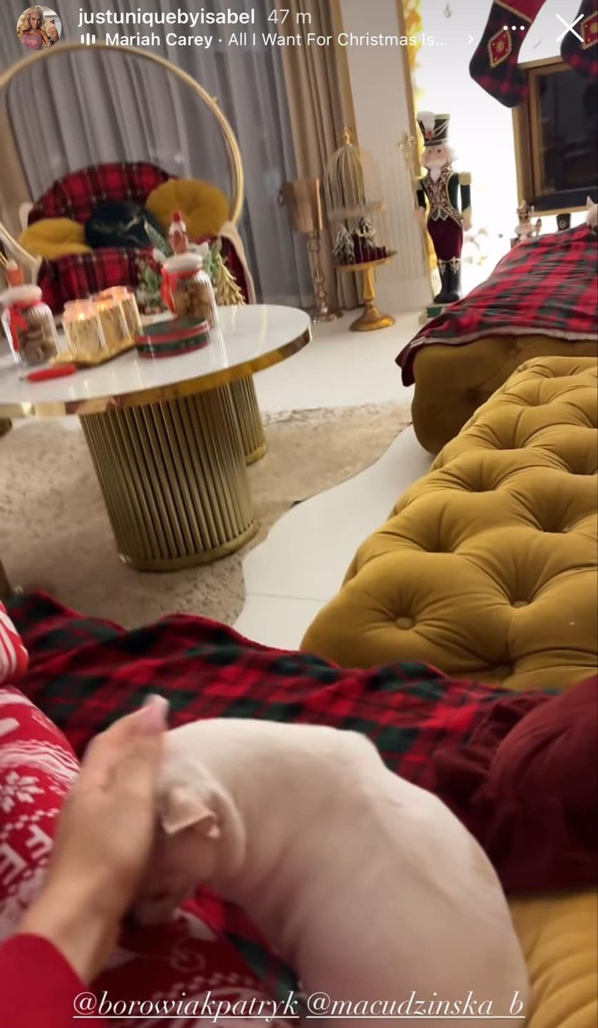 Izabela Macudzińska przystroiła dom na święta