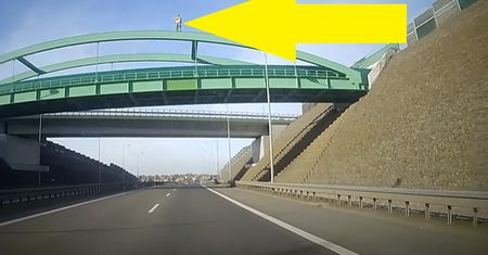 Zobaczył go na Śląsku. Wszystko nagrał. Ludzie osłupieli