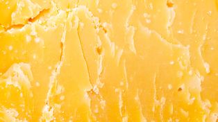 Nazywana "szwajcarskim scyzorykiem długowieczności". Gdzie znaleźć spermidynę?