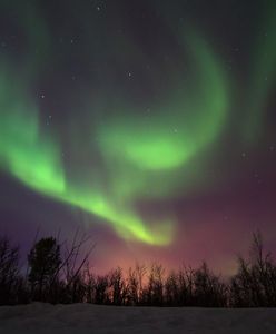 Zorza polarna w Polsce. Dyrektor CMM-IMGW "prawdopodobieństwo wystąpienia takich zjawisk znacząco wzrasta"
