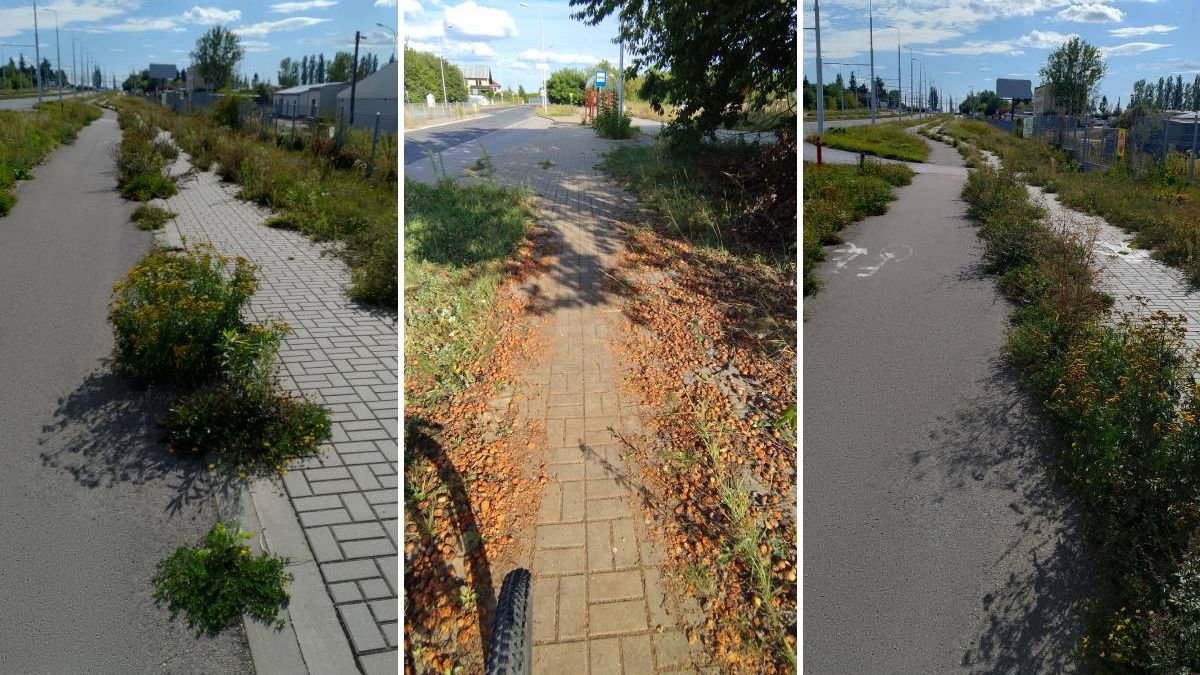 Zarośnięte chodniki i ścieżki rowerowe w Lublinie