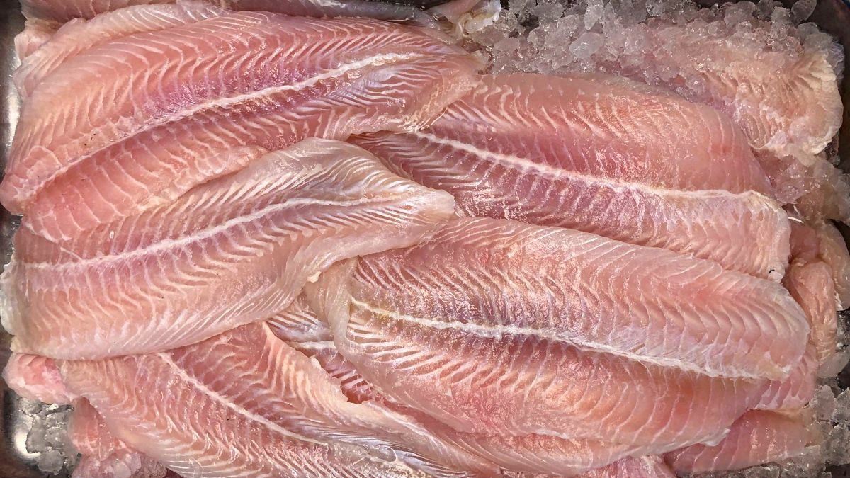 Mrożone filety z ryby