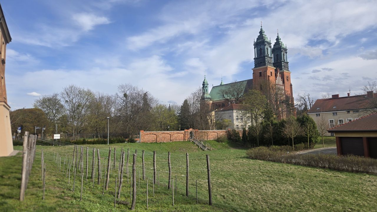 Ostrów Tumski jakiego nie znasz. Historyczny spacer śladami władzy i konfliktów