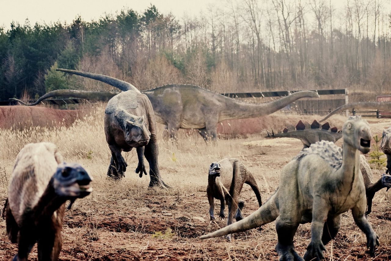 Wrocław. Dinozaury opanują miasto. To nie żart