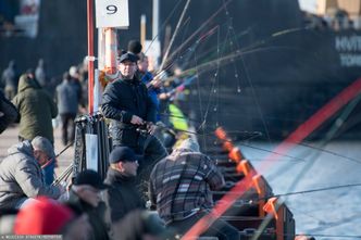 Ważna decyzja UE w sprawie połowów śledzi na Bałtyku. "To byłaby katastrofa"