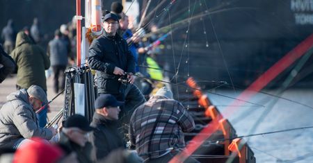 Ważna decyzja UE w sprawie połowów śledzi na Bałtyku. "To byłaby katastrofa"