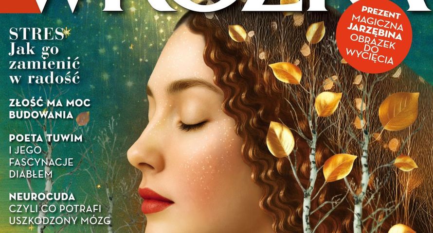 Trzy nowe tytuły w ofercie InPostu. Zamówisz je do paczkomatu