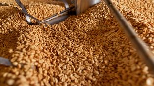 Wielu myśli, że tuczy i jest bezwartościowe. Ma jednak dużo białka i wspiera serce