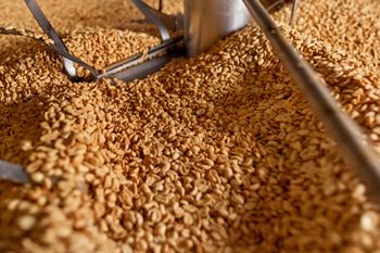 Wielu myśli, że tuczy i jest bezwartościowe. Ma jednak dużo białka i wspiera serce