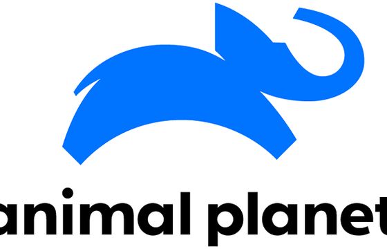 Animal Planet z nową oprawą i logo (wideo)