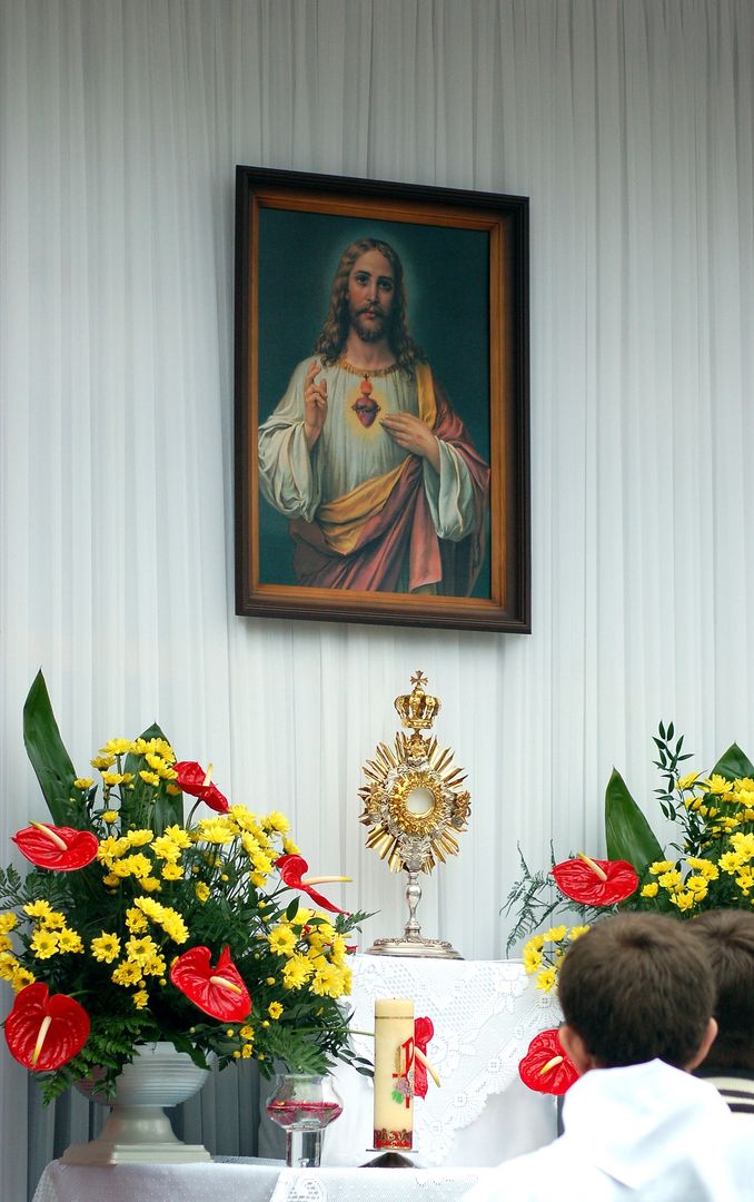 Picasa 2.7
kult eucharystii, katolicyzm