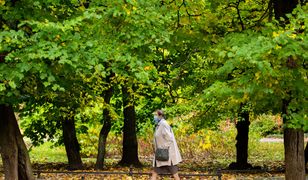 Gdańska Polityka Zieleni. Zmiany w GZDiZ