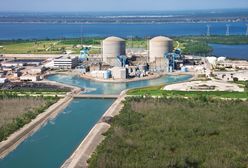 Poważny problem w Niemczech. Spór dotyczy elektrowni atomowych