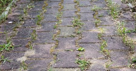 Wylej na kostkę. Rozpuści brud i "wypali" chwasty