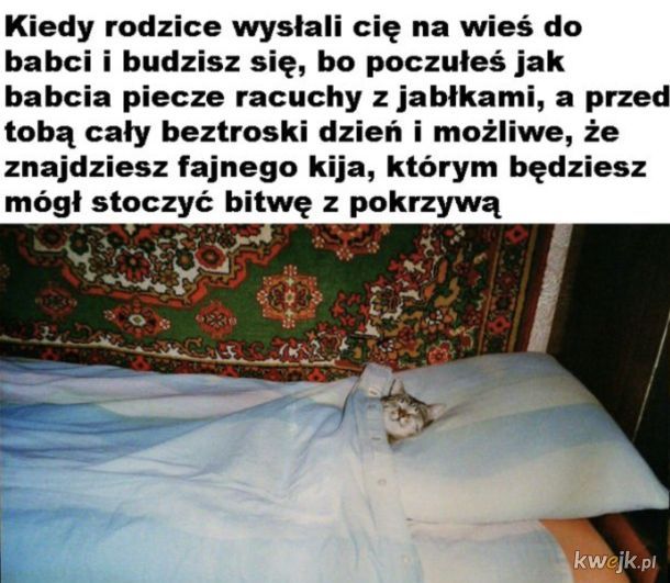 Memy Dzień Dziecka 2026