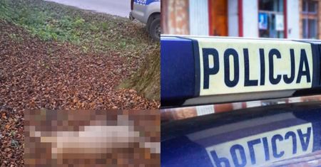 60-latek niósł martwą sarnę na plecach. Oto co mu grozi