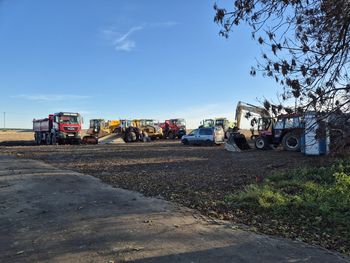 Głogów: Zamiast kukurydzy będą słoneczne panele. Koło Krzepielowa rusza budowa wielkiej farmy fotowoltaicznej. Zajmie 150 hektarów