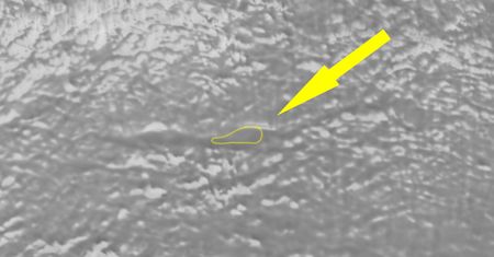 Naukowa sensacja na Antarktydzie. Odkryli to 3,2 km pod pow. lodu
