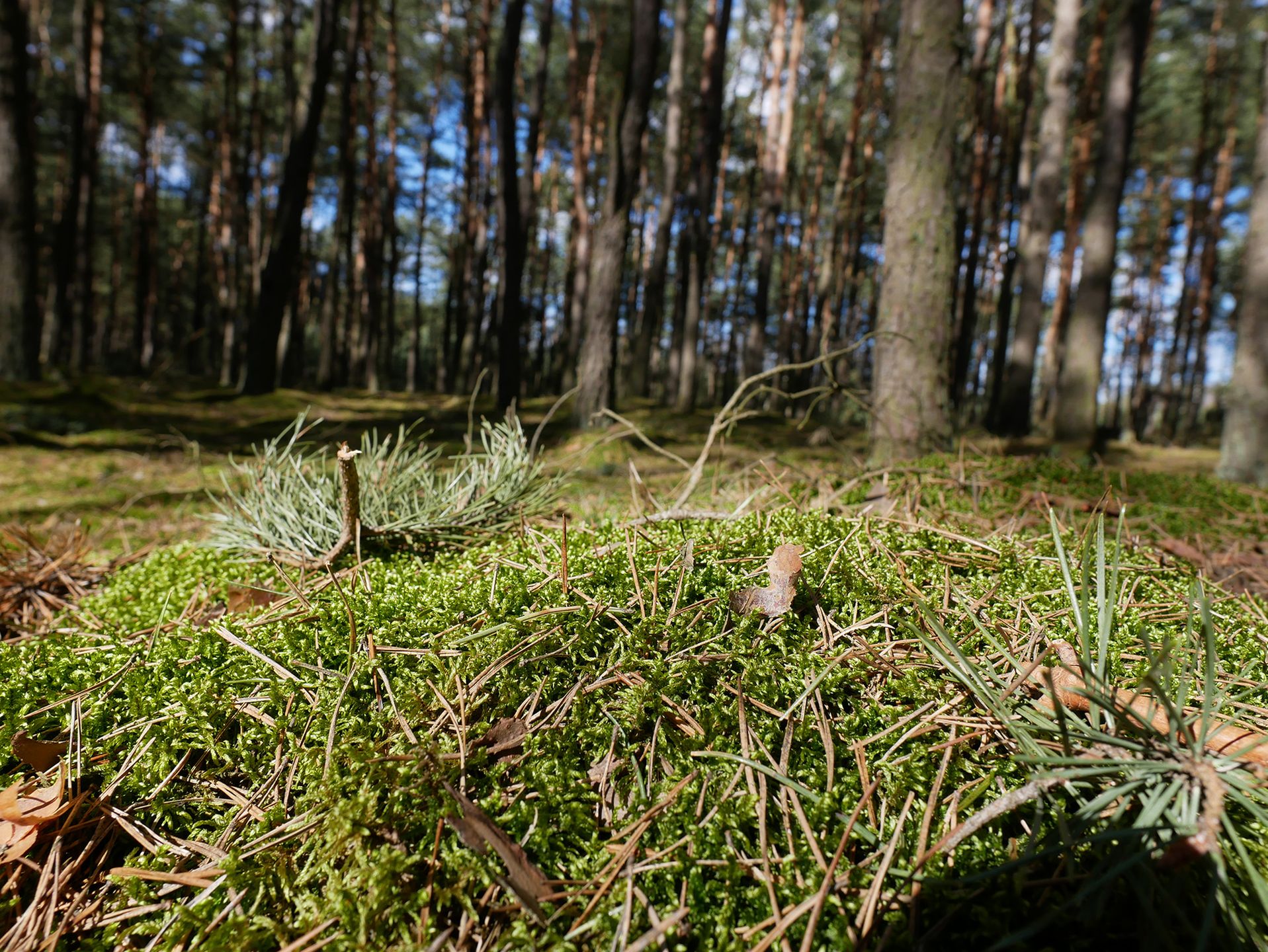 Panasonic Lumix GX800 - Mikro Cztery Trzecie w pełnym tego słowa znaczeniu [test] 59