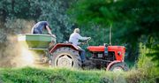 Rolnicy muszą to zgłosić do KRUS. Czas tylko do 1 czerwca