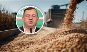 Państwo dorzuci 120 mln zł do skupu zbóż. "By rolnicy mieli możliwość"