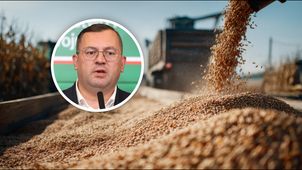Państwo dorzuci 120 mln zł do skupu zbóż. "By rolnicy mieli możliwość"