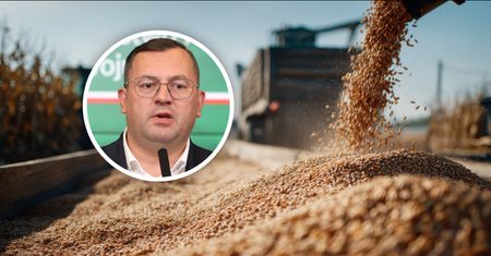 Państwo dorzuci 120 mln zł do skupu zbóż. "By rolnicy mieli możliwość"