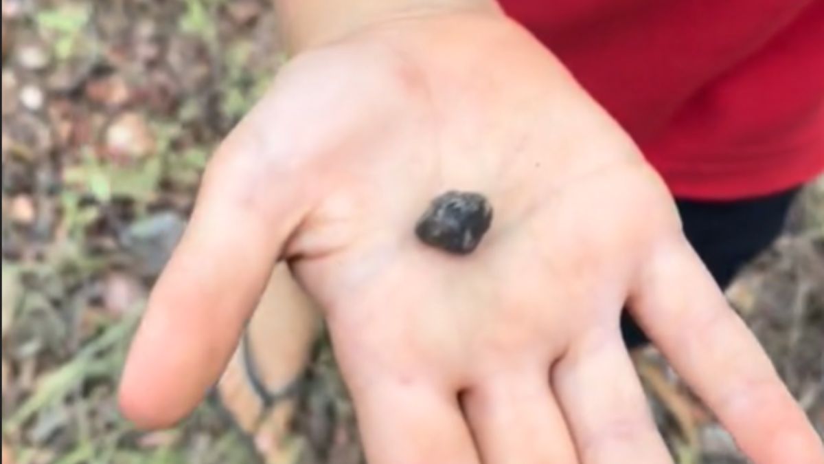 Chłopiec znalazł szafir wart nawet 10 tys. dolarów.