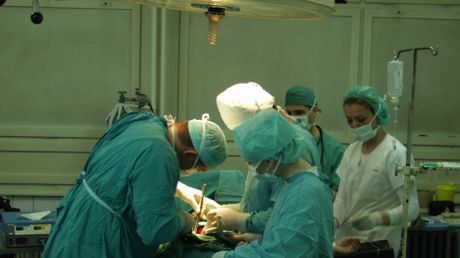 SMS w pomocy medycznej 1