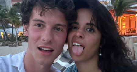 Camila Cabello i Shawn Mendes ZNÓW SĄ RAZEM? Przyłapano ich na czułościach podczas koncertu Taylor Swift (ZDJĘCIA)