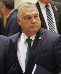 Poruszeni Węgrzy wyszli na ulice. Orban stoi nad przepaścią