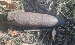 Bomba w polskim lesie. Policja reaguje