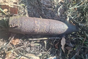 Bomba w polskim lesie. Policja reaguje