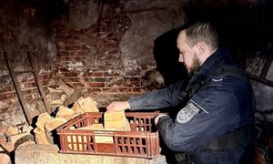 Odwiedzili 82-latkę. Nie miała w domu jedzenia i opału