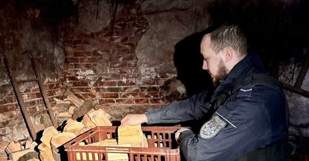Odwiedzili 82-latkę. Nie miała w domu jedzenia i opału