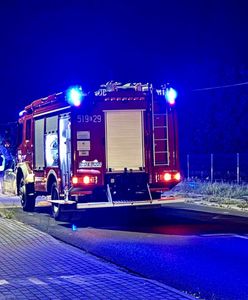 Konie wybiegły na jezdnię. Kierowca w szpitalu