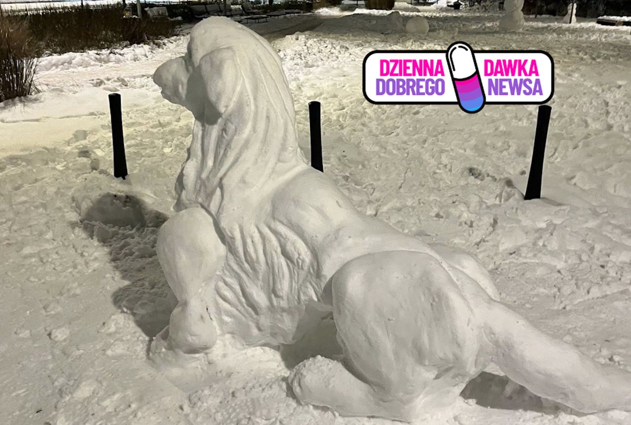 Ludzie tworzą je w śniegu. "Dwie godziny pracy"