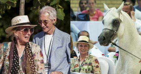 Shirley Watts zabiera konie z Janowa, po tym jak padła jej DRUGA klacz!