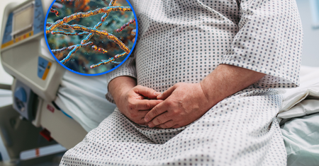Bakteria, która odchudza? Turicibacter może być przełomem w walce z otyłością