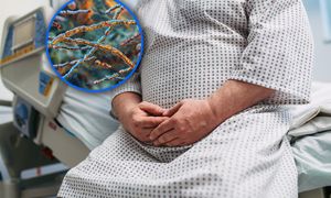 Bakteria, która odchudza? Turicibacter może być przełomem w walce z otyłością