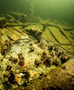 Sensacyjne odkrycie na dnie Bałtyku. "Mamy skarb"