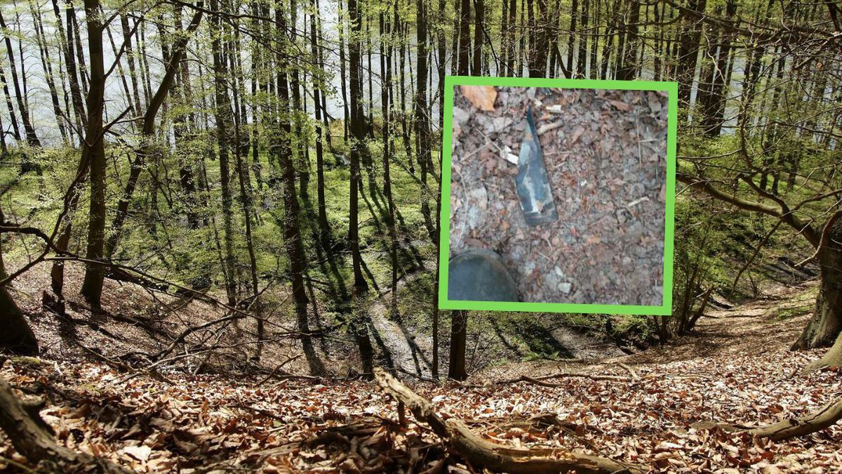 Pułapka w lesie. Ostrze na szlaku zagrożeniem dla ludzi i zwierz