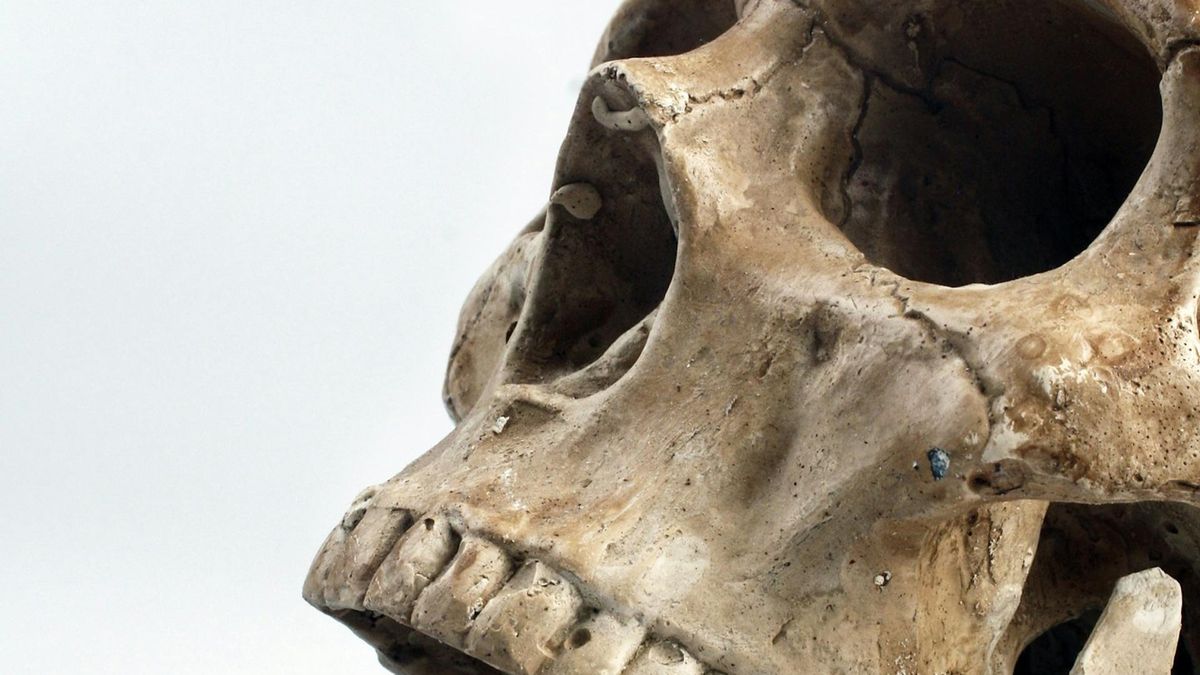  Przełomowe odkrycie w Chinach - naukowcy odczytali DNA tajemniczego przodka