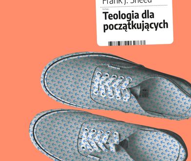 Katoliku, w co ty wierzysz? Recenzja książki "Teologia dla początkujących"