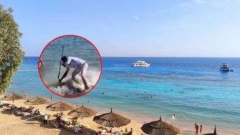 Atak na plaży w Hurghadzie. Ogromna murena rzuciła się na turystę