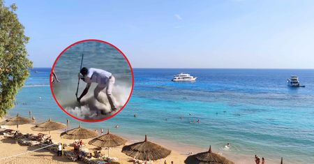 Atak na plaży w Hurghadzie. Ogromna murena rzuciła się na turystę