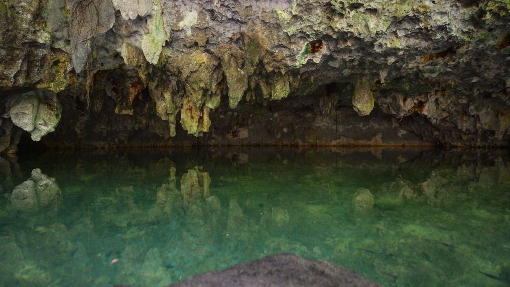 Naturalna studnia krasowa w skale wapiennej w Tulum w Meksyku