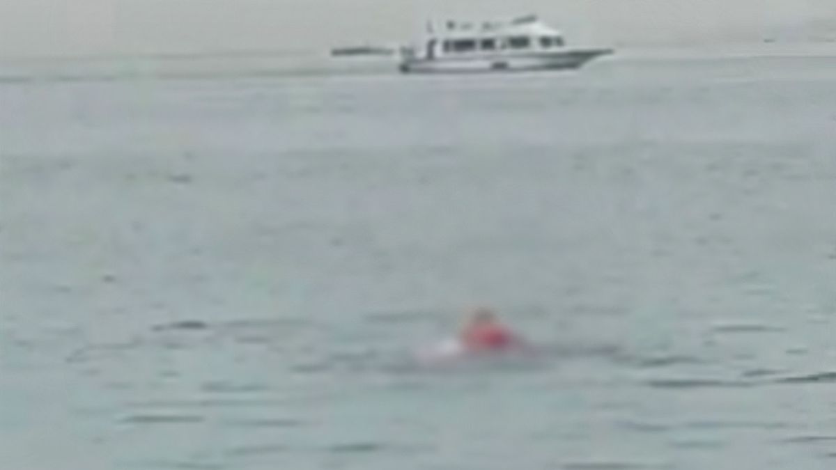 23-latek został zjedzony przez rekina.