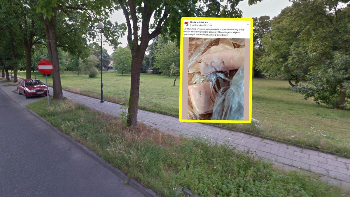 Wstrząsające doniesienia z Gliwic.